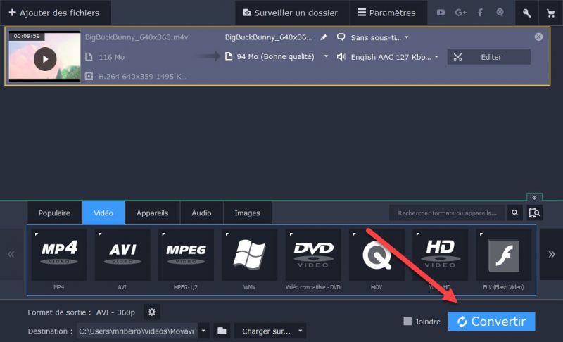 Movavi Video Converter